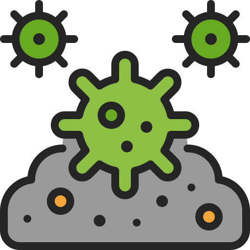 bacteria
