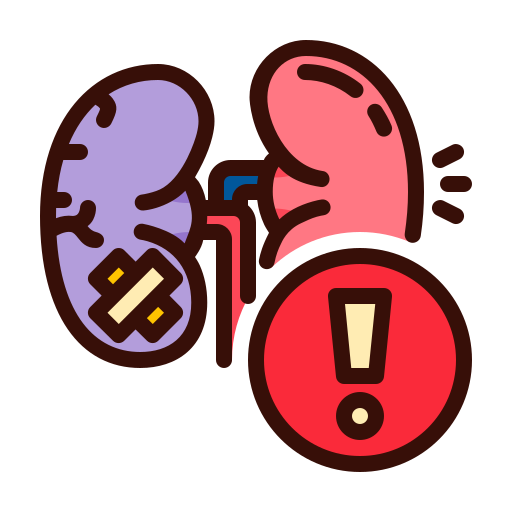 kidney