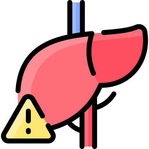 liver 1