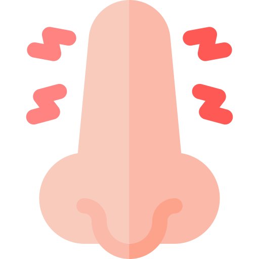 sinus