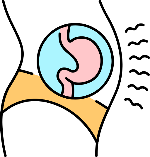 stomach